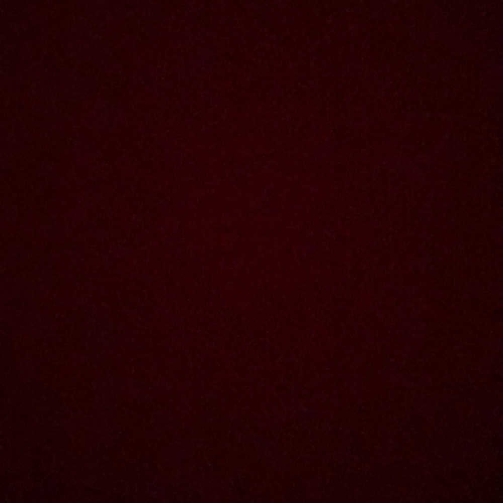 Meet your Posher, Riley